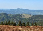 feldberg