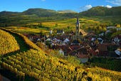 kaiserstuhl