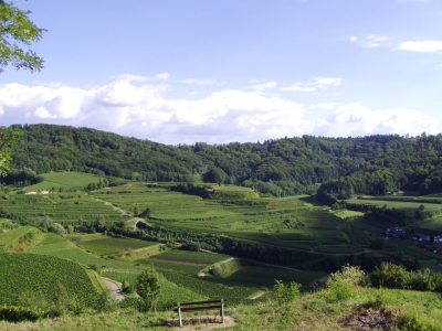 kaiserstuhl2