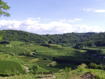 kaiserstuhl2
