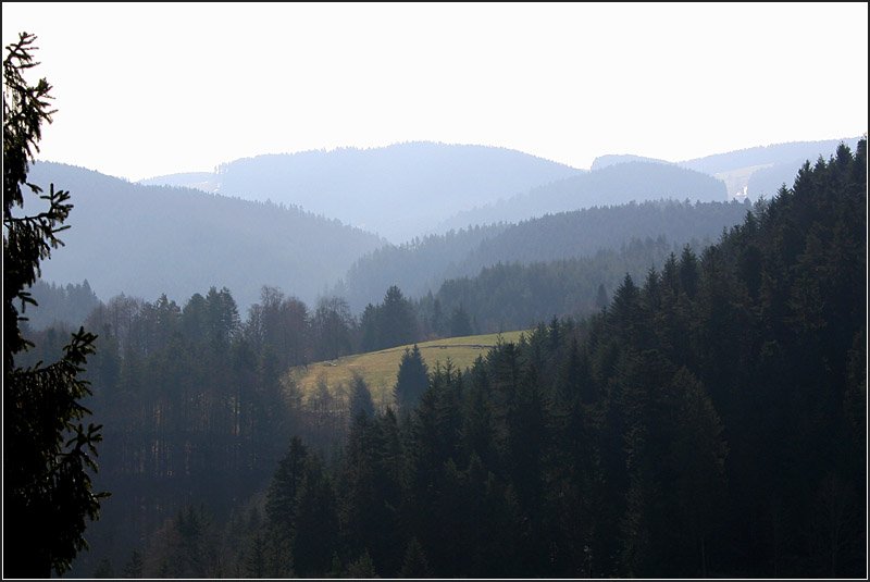 schwarzwald