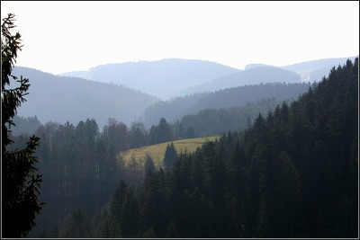 schwarzwald