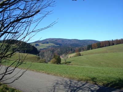 schwarzwald2