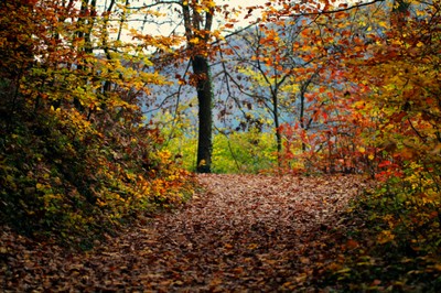 herbstwandern