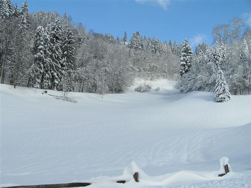 Winterlandschaft Schwarzwald.jpg