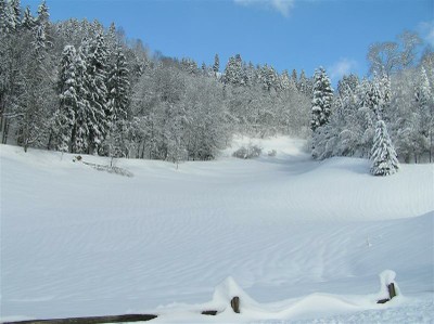 Winterlandschaft Schwarzwald.jpg